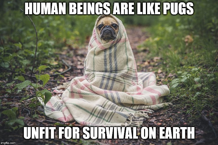 dark humor memes
