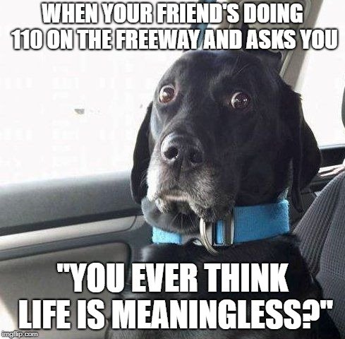 dark humor memes
