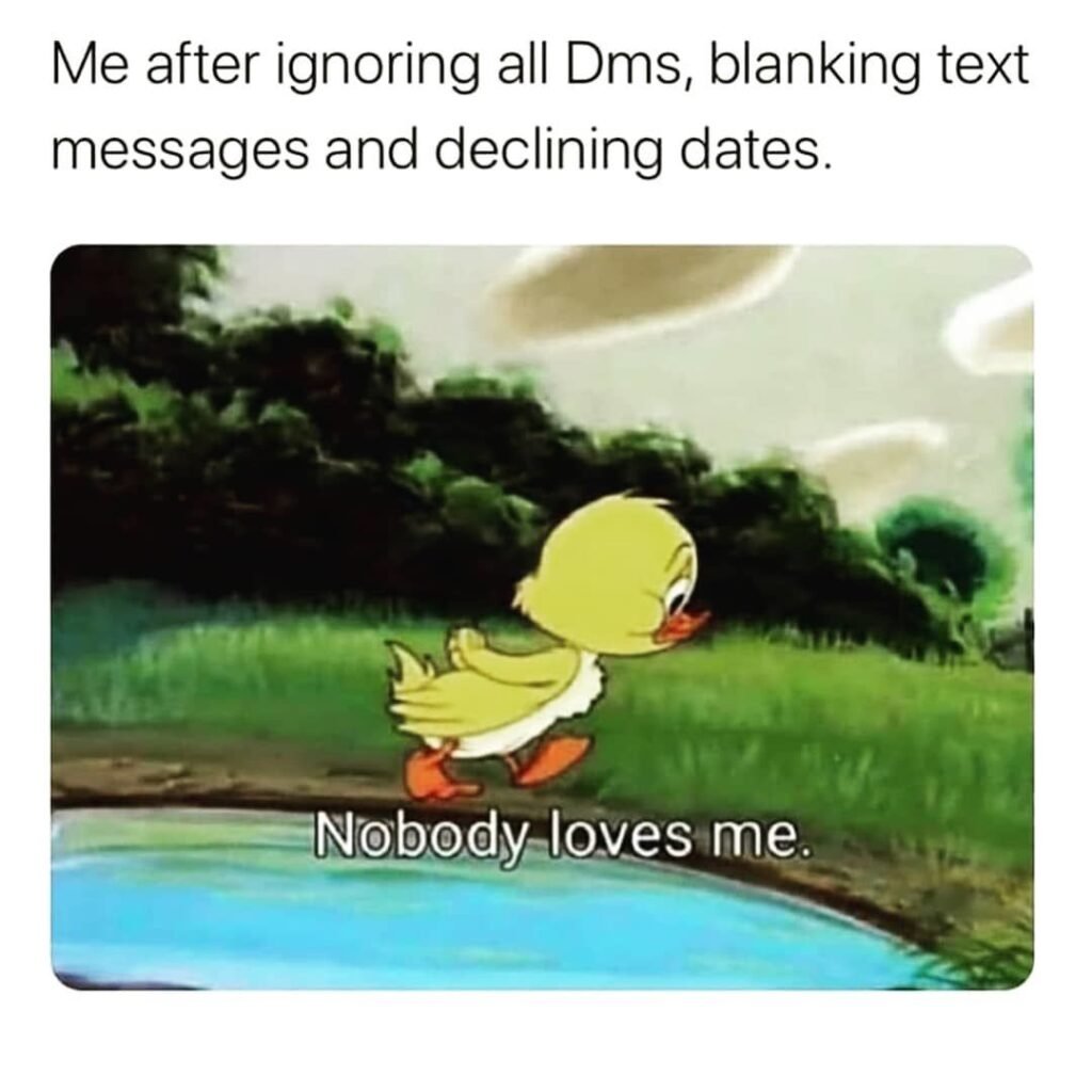 happy tuesday memes
