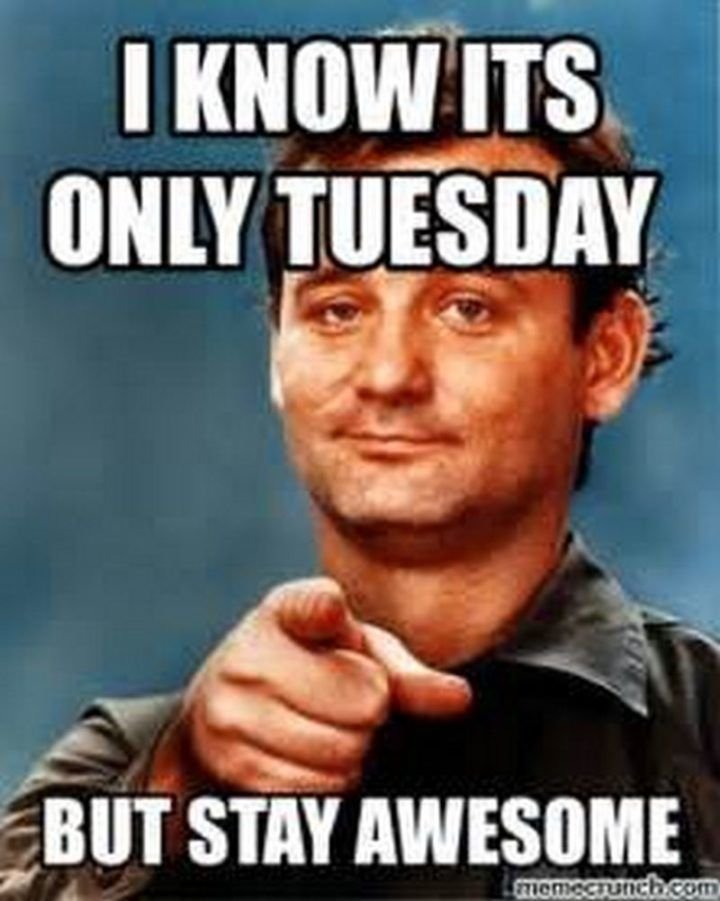 Tuesday Memes