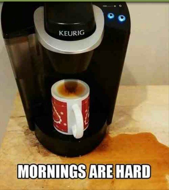 funny good morning memes 