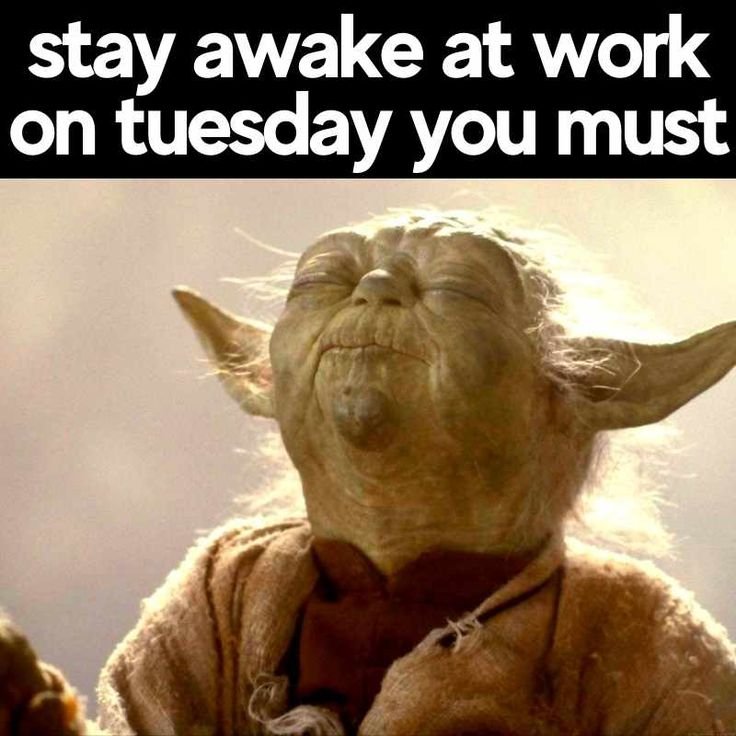 Tuesday Memes
