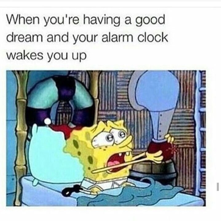 hilarious memes