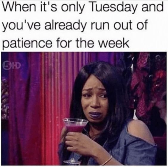 Tuesday Memes