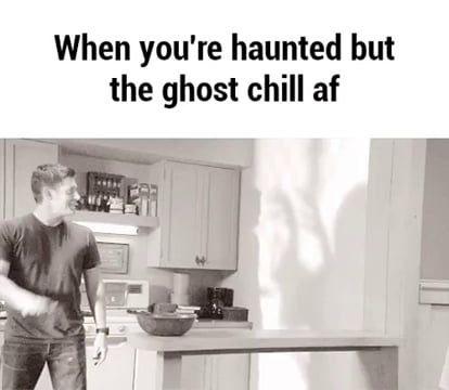 dark humor memes
