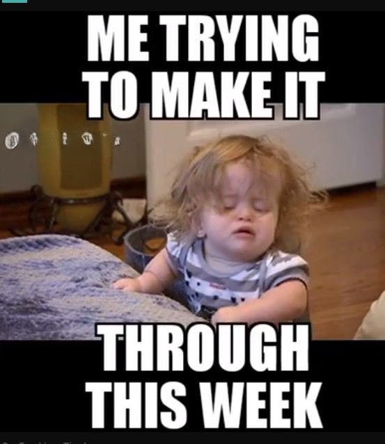 Tuesday Memes
