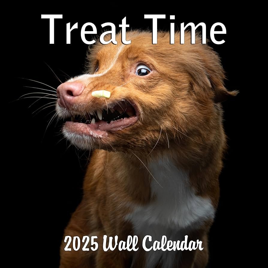 dog memes