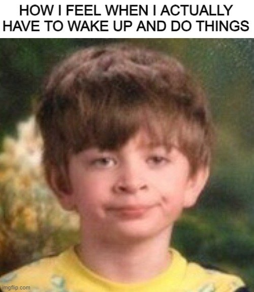 hilarious memes