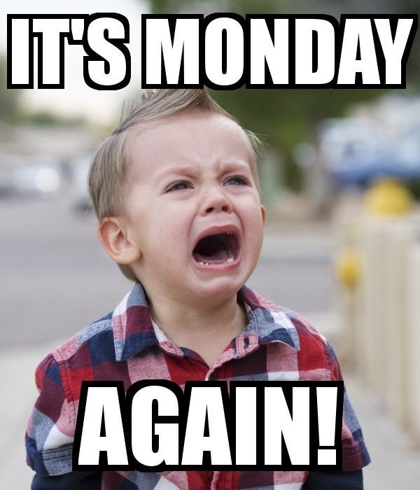 happy monday memes
