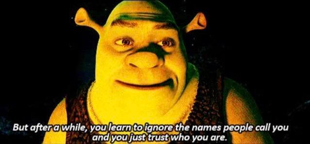 shrek memes