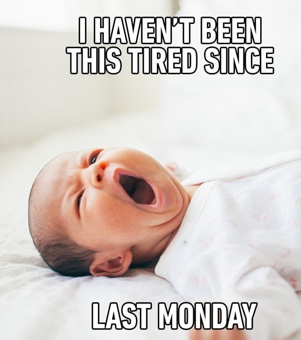 happy monday memes
