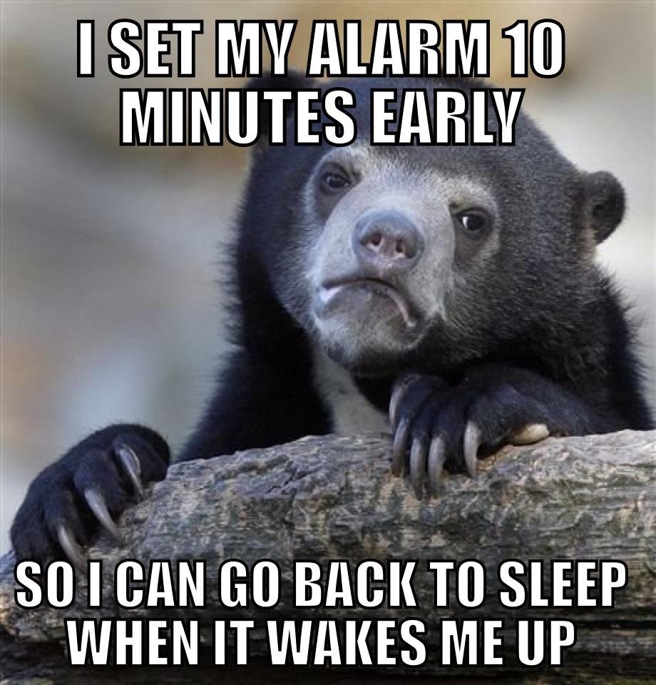 hilarious memes