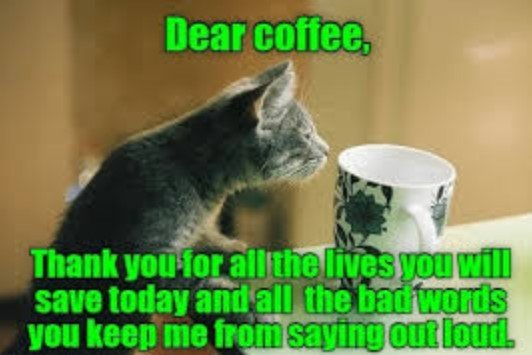 Happy Monday Memes