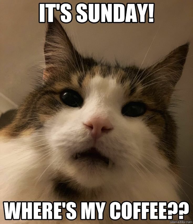 morning memes 