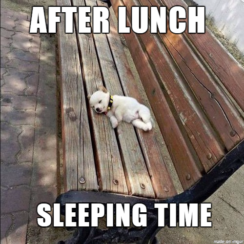 Tuesday Memes