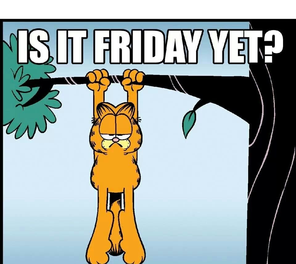  monday memes
