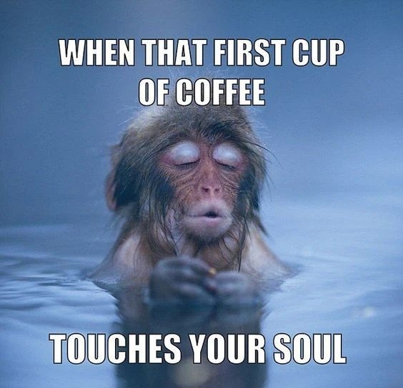 happy monday memes
