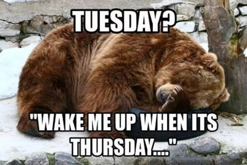 happy tuesday memes