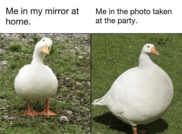 dark humor memes
