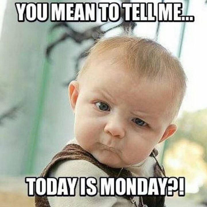 happy monday memes
