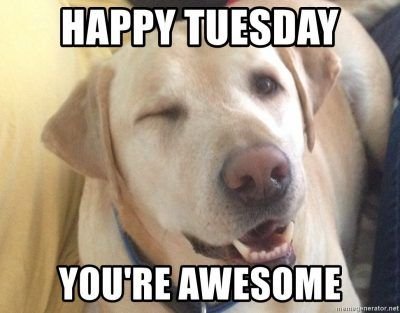 happy tuesday memes