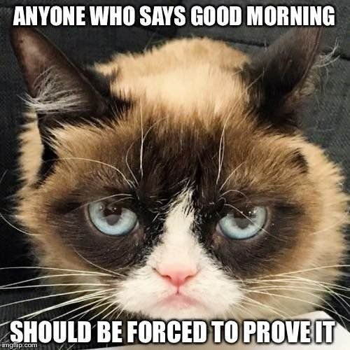 funny good morning memes 