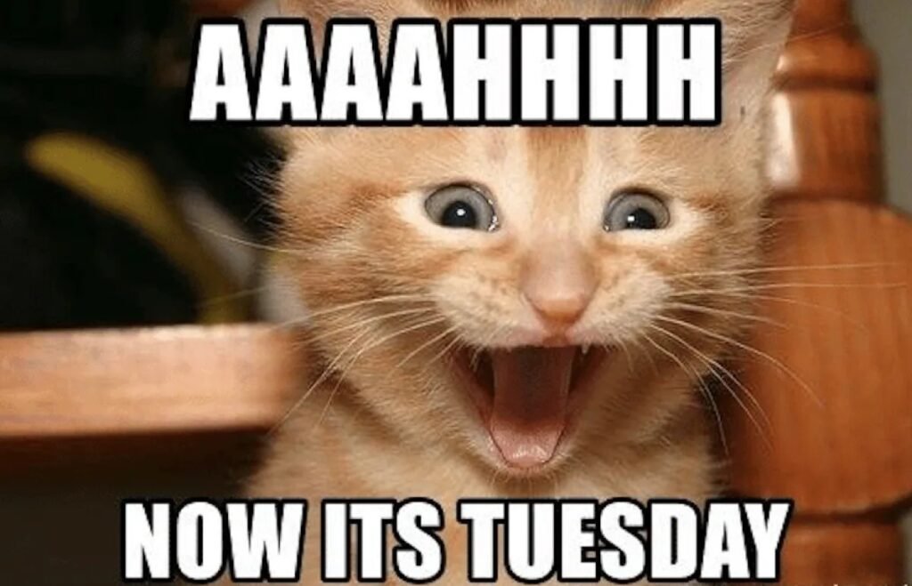 Tuesday Memes