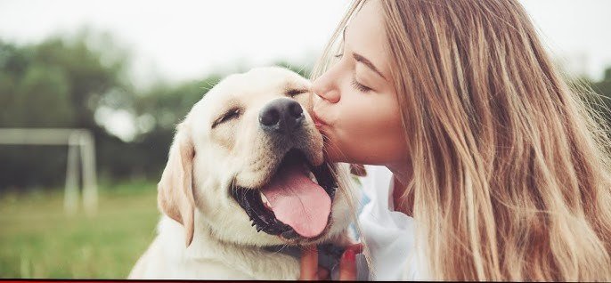 dog memes