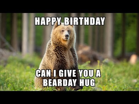 hilarious birthday memes
