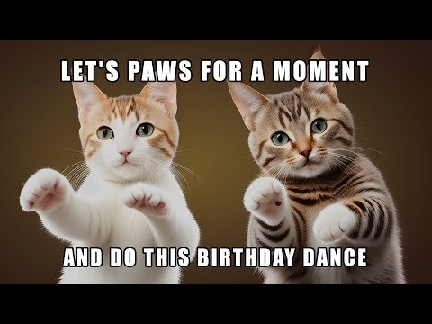 hilarious birthday memes
