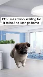 funny work memes