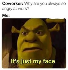 shrek memes