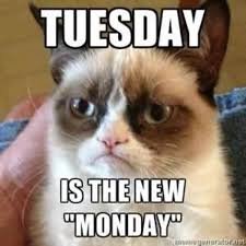 happy tuesday memes