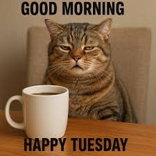 Tuesday Memes