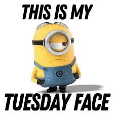 Tuesday Memes