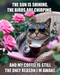 happy tuesday memes