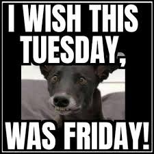 Tuesday Memes