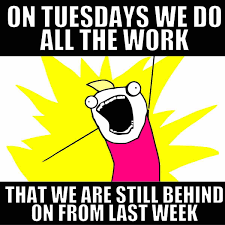 Tuesday Memes