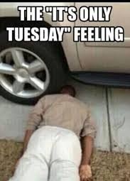 Tuesday Memes