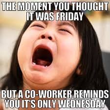 Tuesday Memes