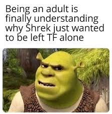 shrek memes