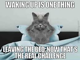 hilarious memes