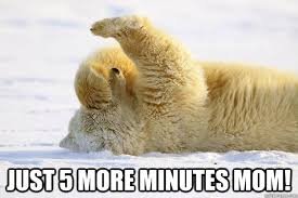 hilarious memes