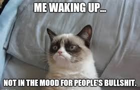 hilarious memes