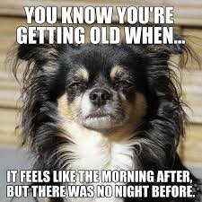 hilarious birthday memes