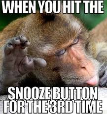 happy monday memes
