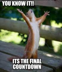 happy monday memes
