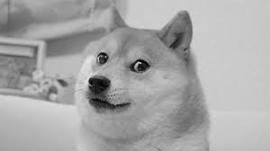 dog memes
