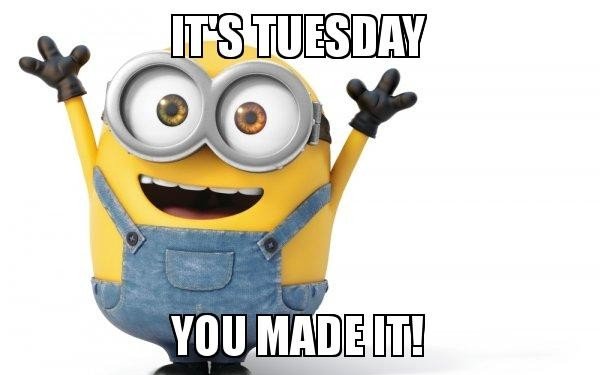 happy tuesday memes