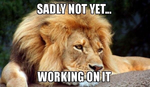 happy monday memes
